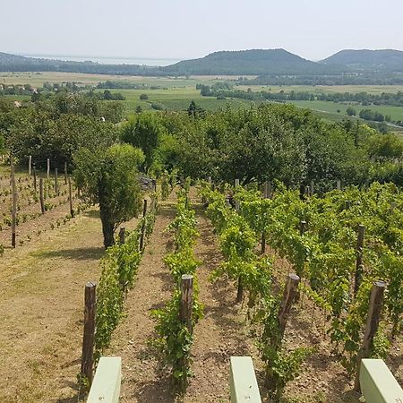 Grand Cru 4 Vendeghaz Villa Hegymagas Exteriör bild
