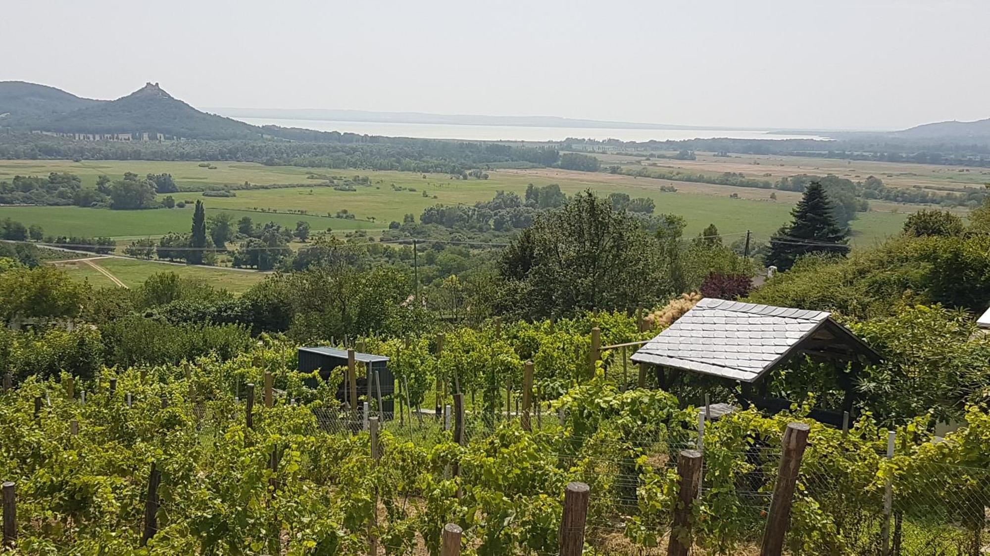 Grand Cru 4 Vendeghaz Villa Hegymagas Exteriör bild